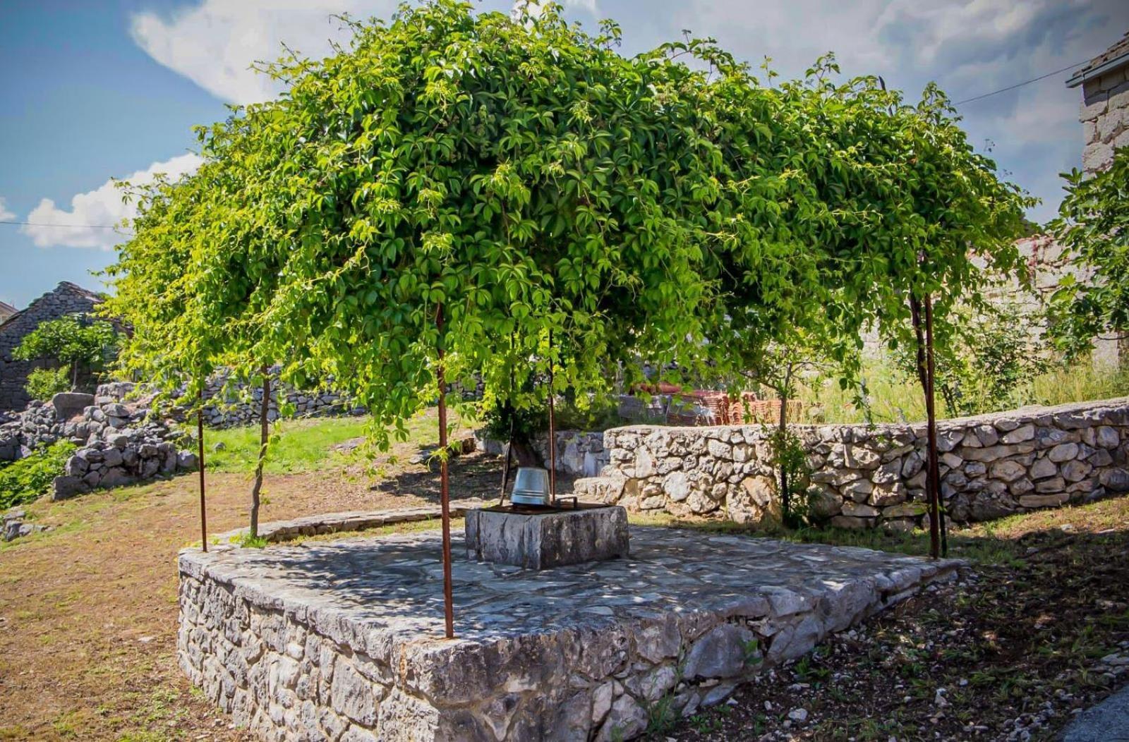 Villa Ognjistar In The Hinterland Of Makarska Riviera Zmijavci Εξωτερικό φωτογραφία