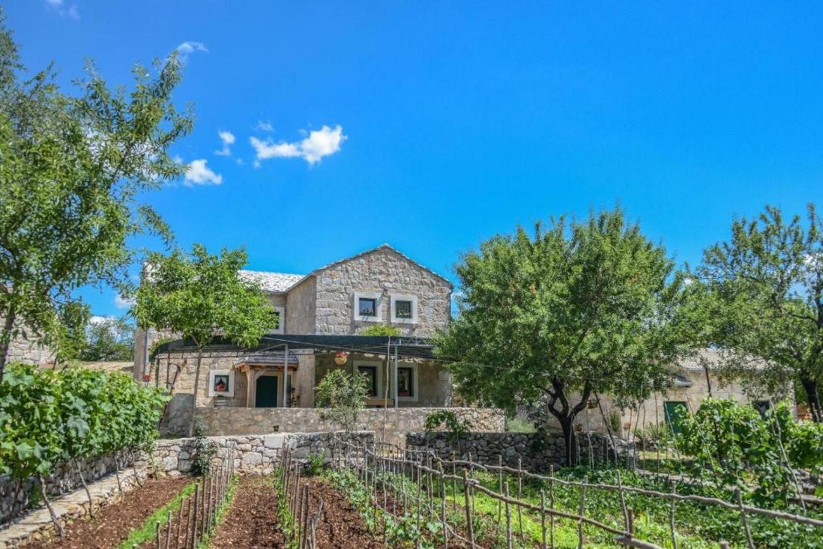 Villa Ognjistar In The Hinterland Of Makarska Riviera Zmijavci Εξωτερικό φωτογραφία